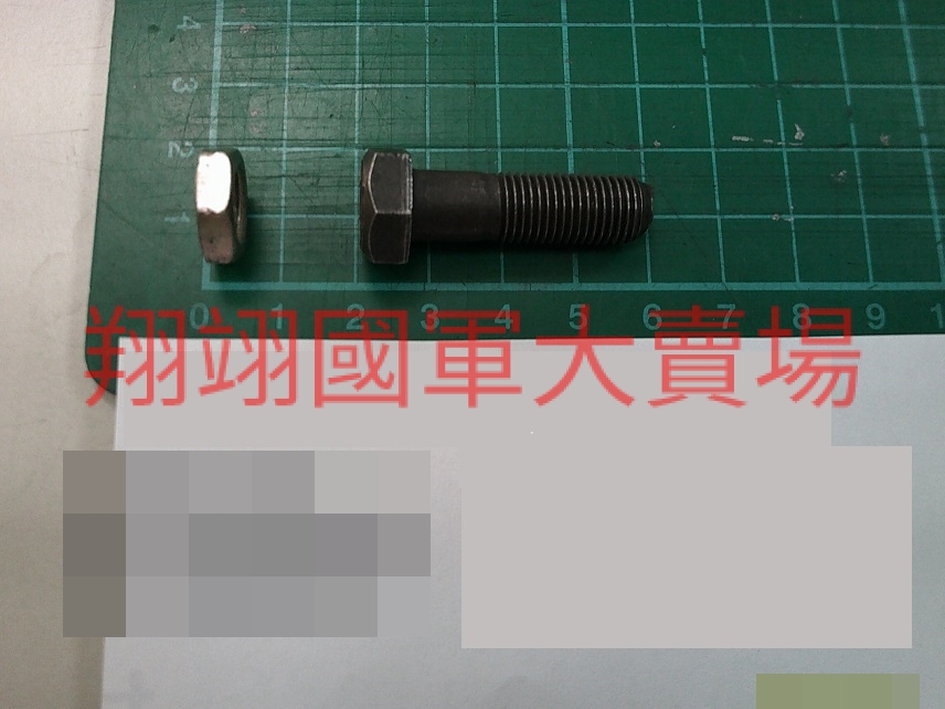 螺帽-輪胎固定用(10入)